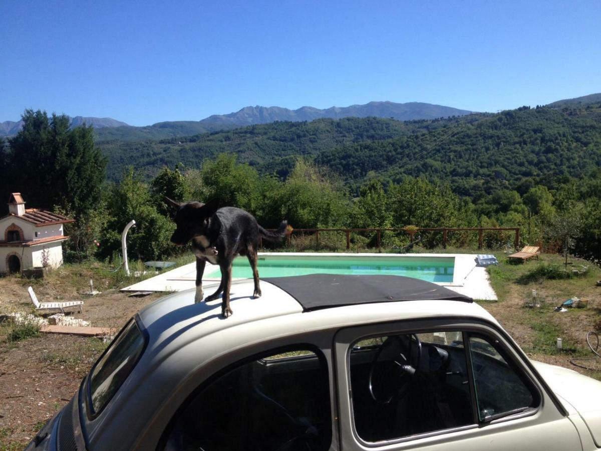 Le Apuane Guest House Mezzana  Exterior photo